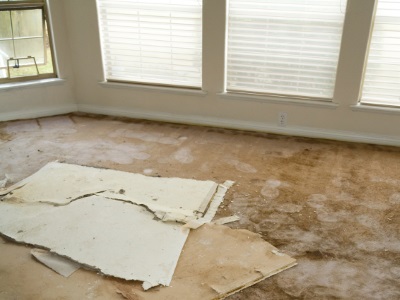 Water damage restoration by True Clean Emergency Restoration LLC